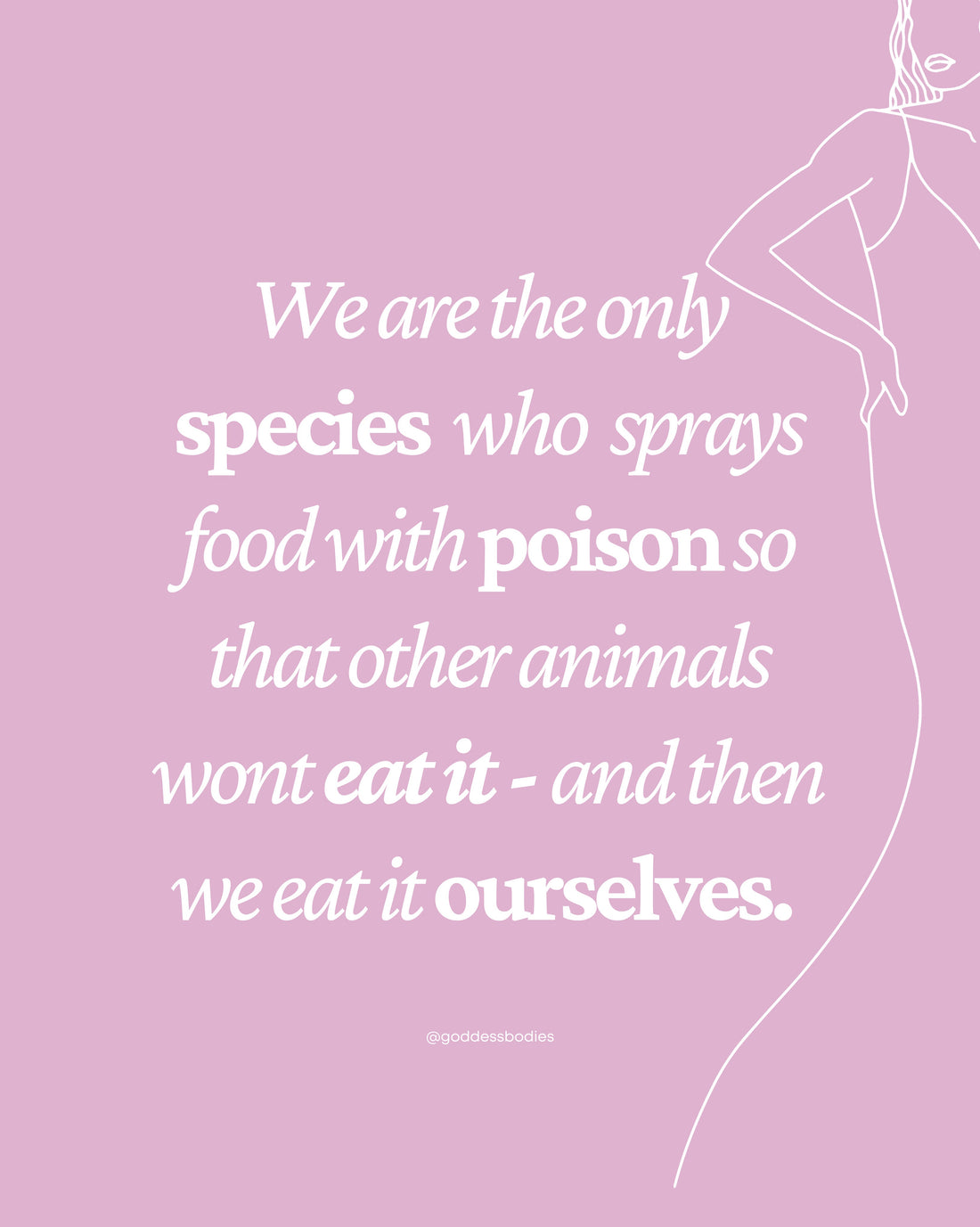 Why Going Organic Matters: From Clothes to Products to Produce