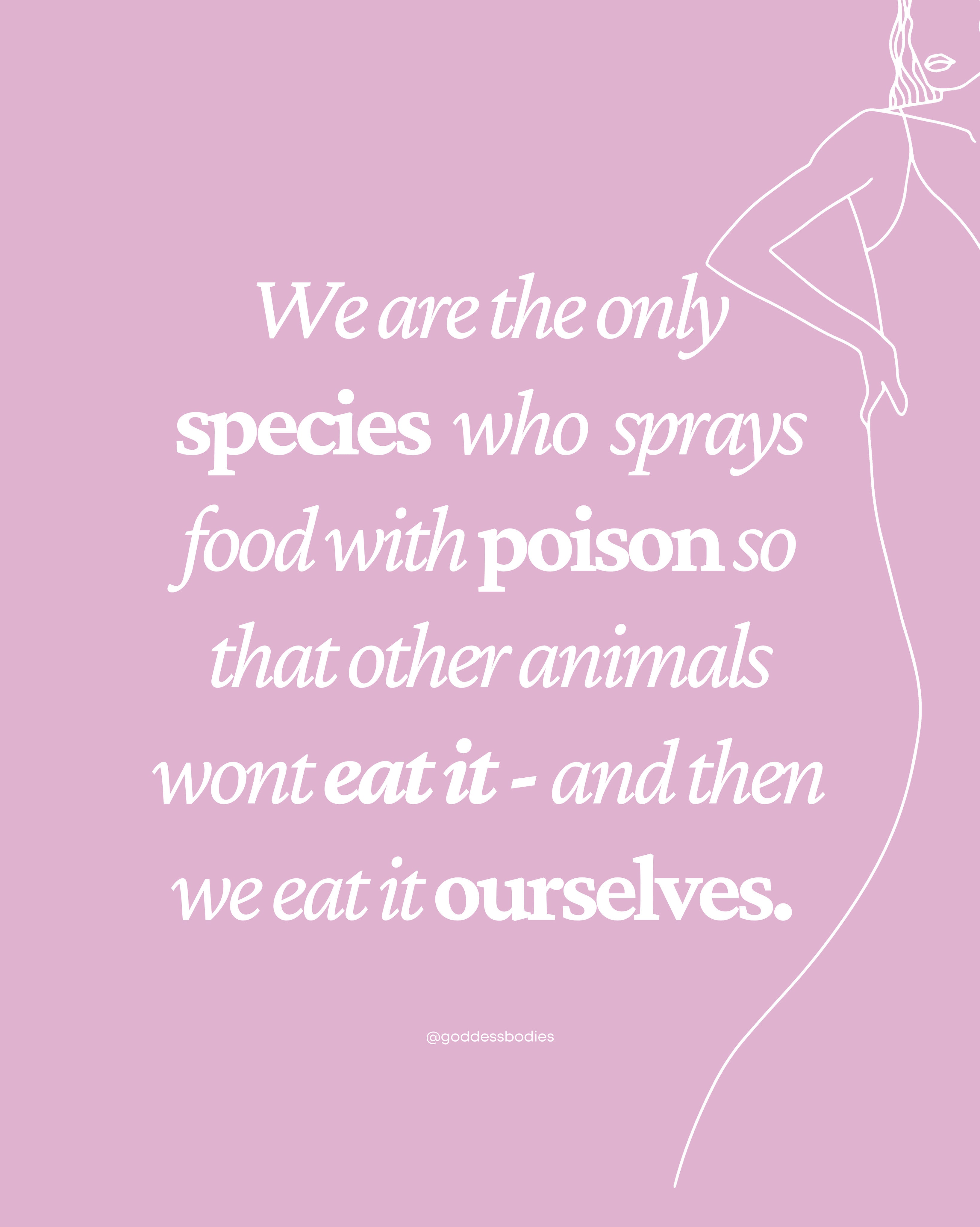 Why Going Organic Matters: From Clothes to Products to Produce