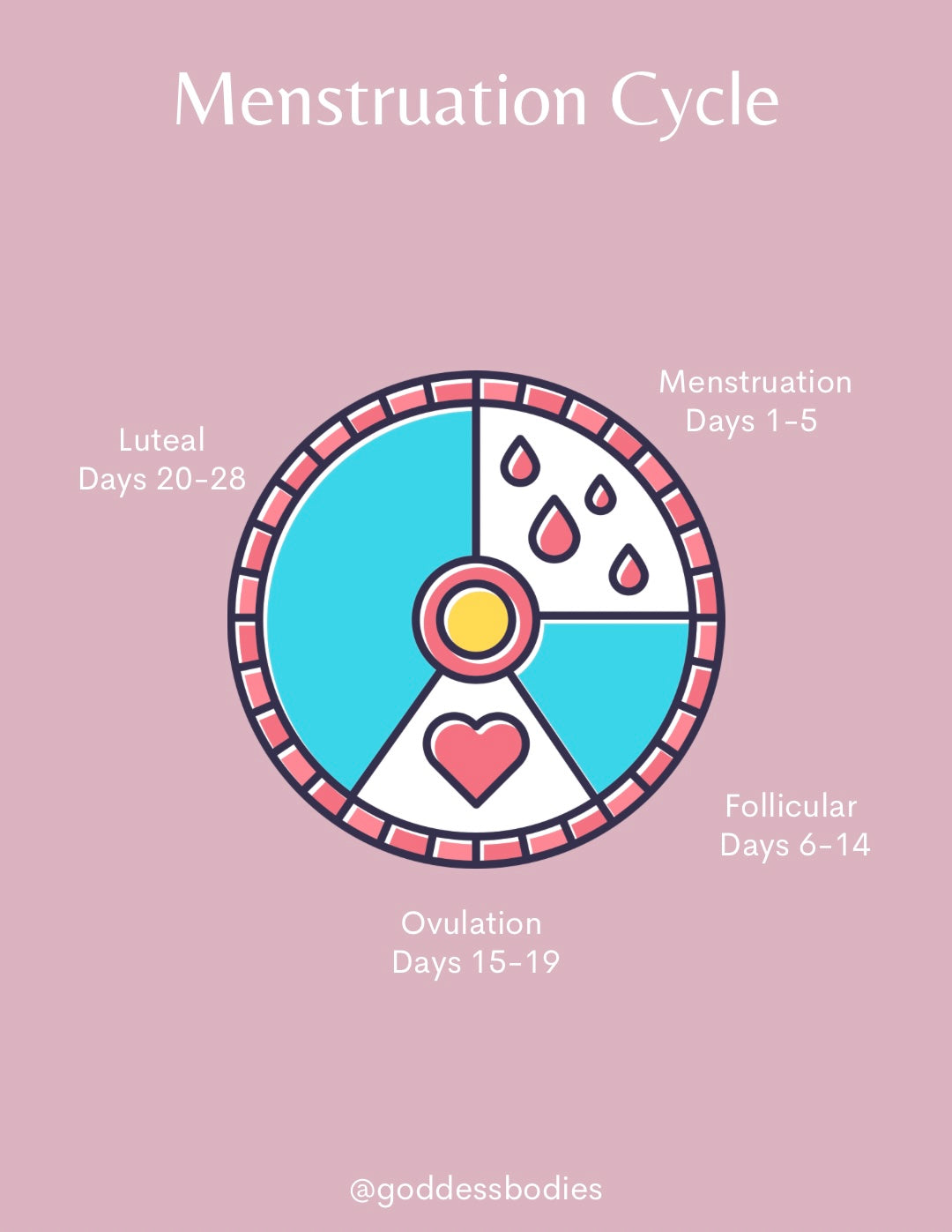 Cycle Nutrition Guide