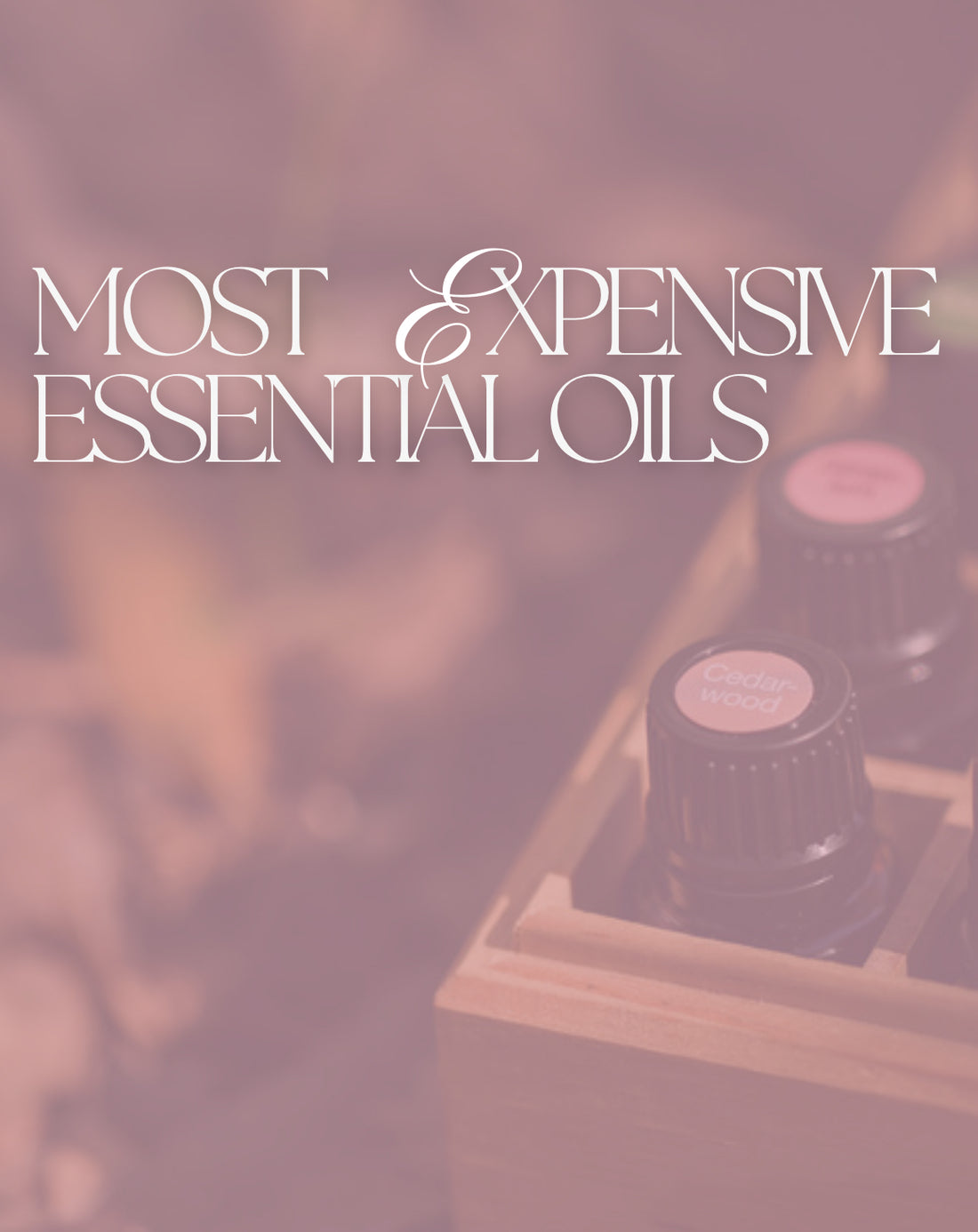 Top 11 Most Expensive Oils