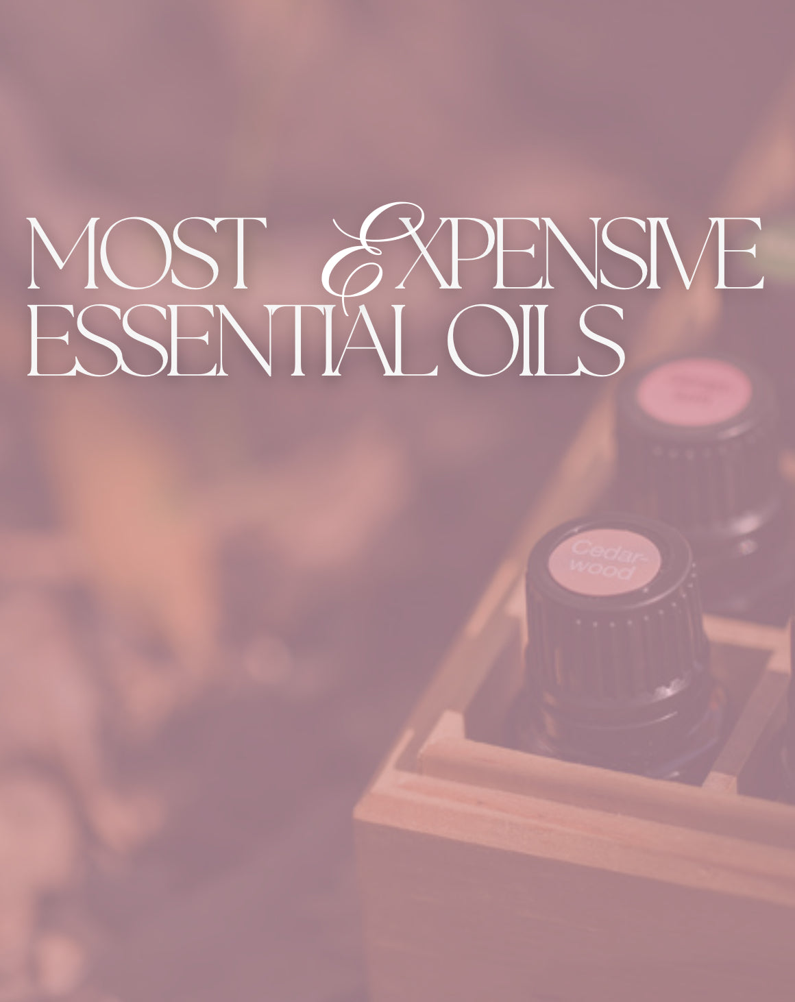 Top 11 Most Expensive Oils