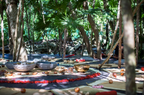 Women's Wellness Retreat